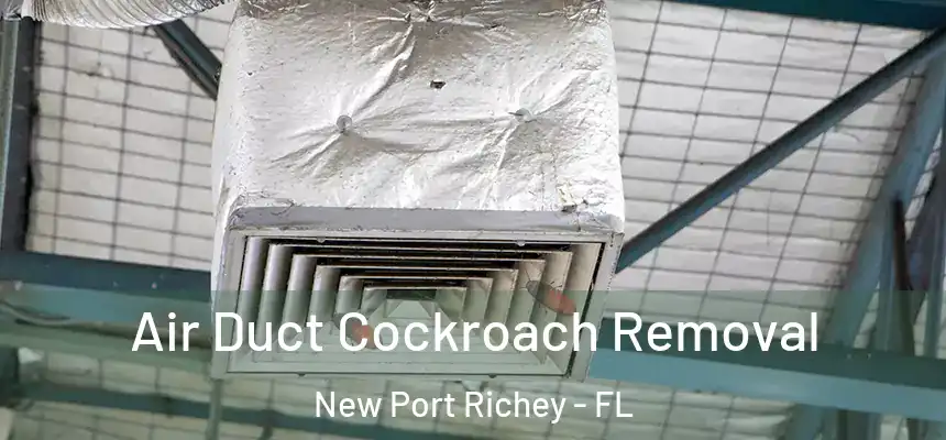 Air Duct Cockroach Removal New Port Richey - FL