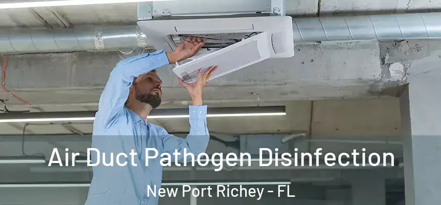 Air Duct Pathogen Disinfection New Port Richey - FL