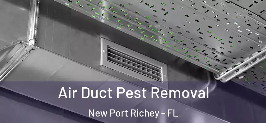 Air Duct Pest Removal New Port Richey - FL