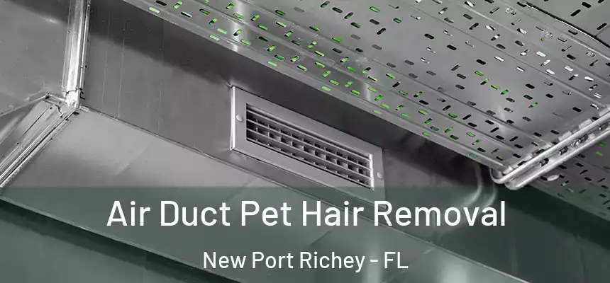  Air Duct Pet Hair Removal New Port Richey - FL