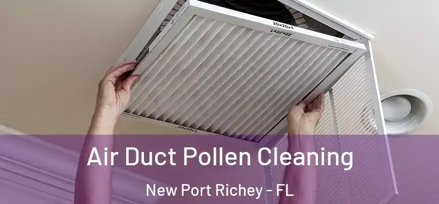 Air Duct Pollen Cleaning New Port Richey - FL