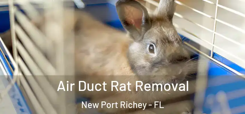  Air Duct Rat Removal New Port Richey - FL