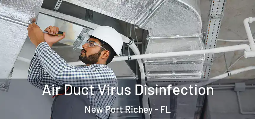 Air Duct Virus Disinfection New Port Richey - FL