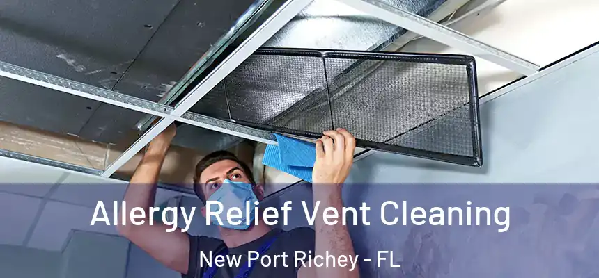 Allergy Relief Vent Cleaning New Port Richey - FL