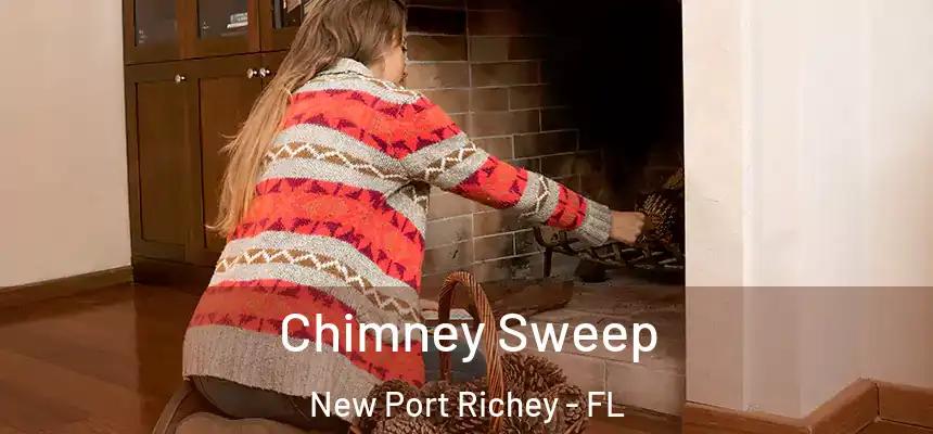 Chimney Sweep New Port Richey - FL