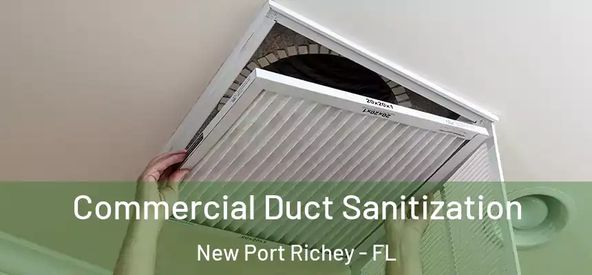 Commercial Duct Sanitization New Port Richey - FL