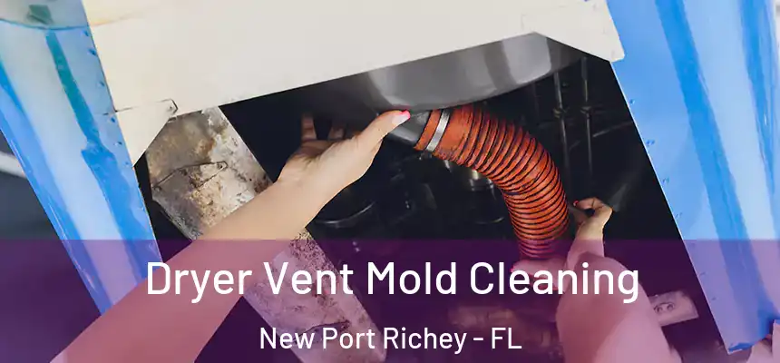 Dryer Vent Mold Cleaning New Port Richey - FL