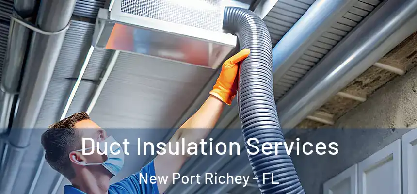 Duct Insulation Services New Port Richey - FL
