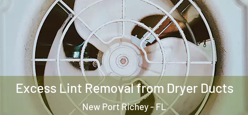 Excess Lint Removal from Dryer Ducts New Port Richey - FL