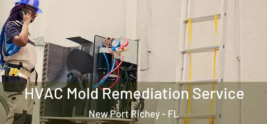 HVAC Mold Remediation Service New Port Richey - FL