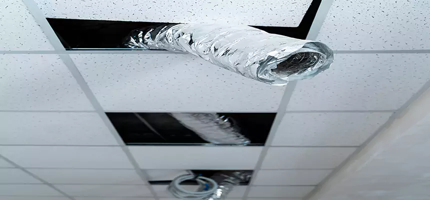 Affordable HVAC Sanitizing After Pest Removal in New Port Richey