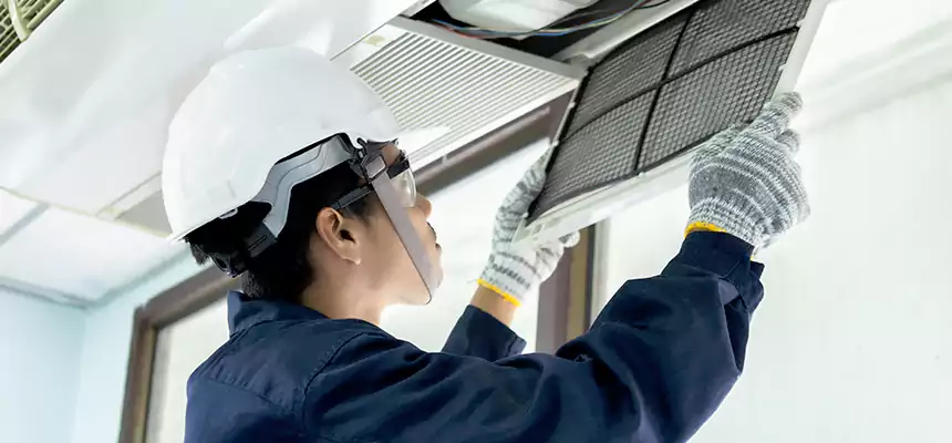 Our Mold & Mildew Removal from Air Ducts Services in New Port Richey, FL