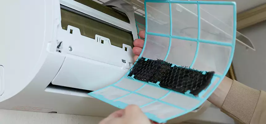 Gentle Ductwork Odor-Control Pet Dander Duct Cleaning in New Port Richey, FL