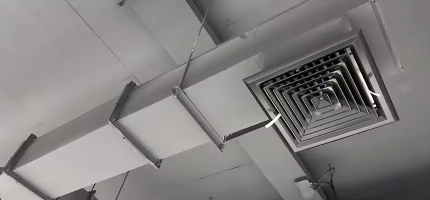 Our Rodent Droppings In Vents Services in New Port Richey, FL