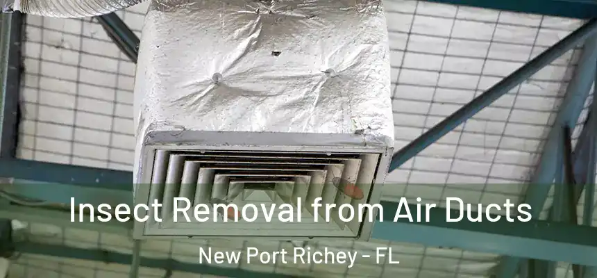 Insect Removal from Air Ducts New Port Richey - FL
