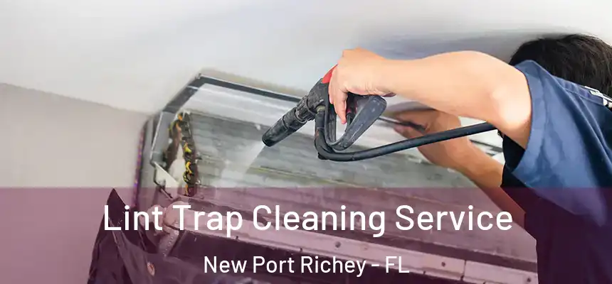 Lint Trap Cleaning Service New Port Richey - FL