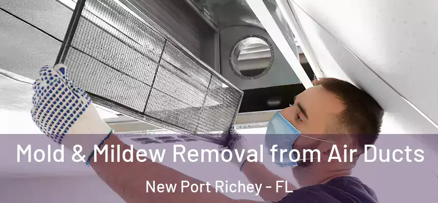 Mold & Mildew Removal from Air Ducts New Port Richey - FL