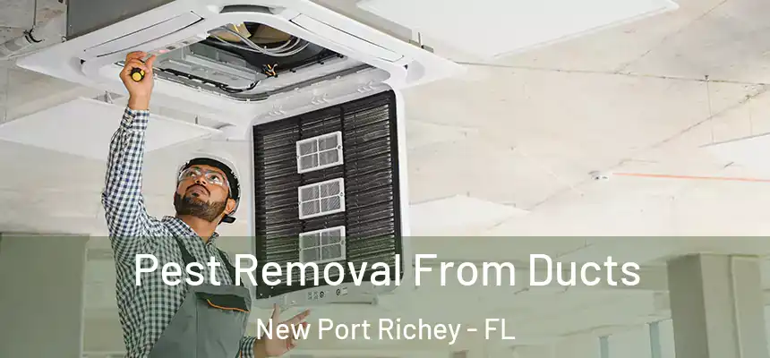 Pest Removal From Ducts New Port Richey - FL