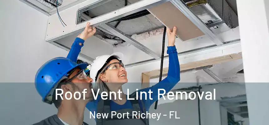 Roof Vent Lint Removal New Port Richey - FL
