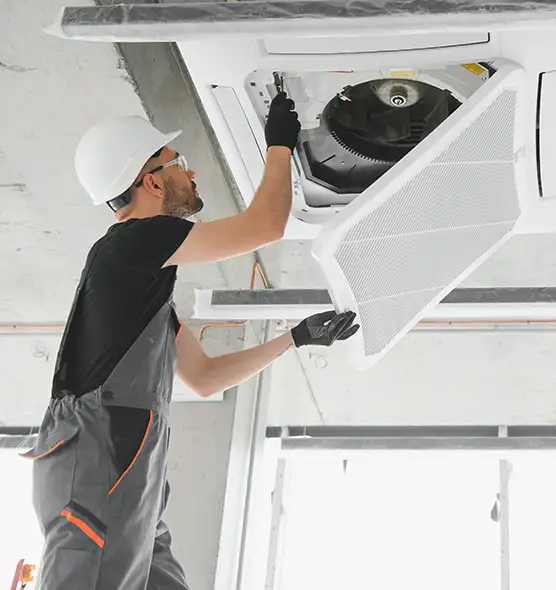 About Air Duct Rodent Removal in New Port Richey, FL