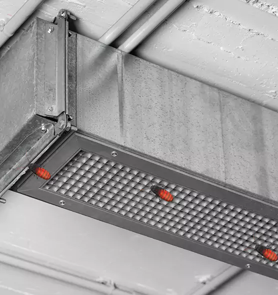 Affordable Insect Removal from Air Ducts in New Port Richey, FL