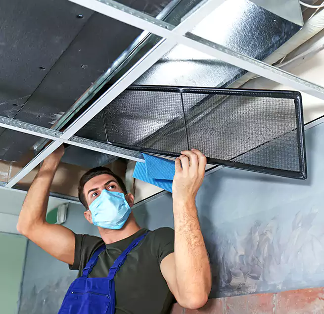 Why Homeowners Businesses Trust Us in New Port Richey, FL