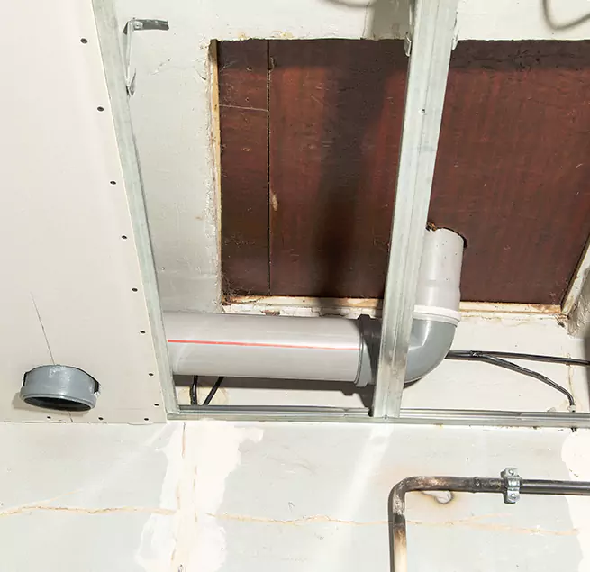 Why Homeowners & Businesses Trust Us in New Port Richey, FL?