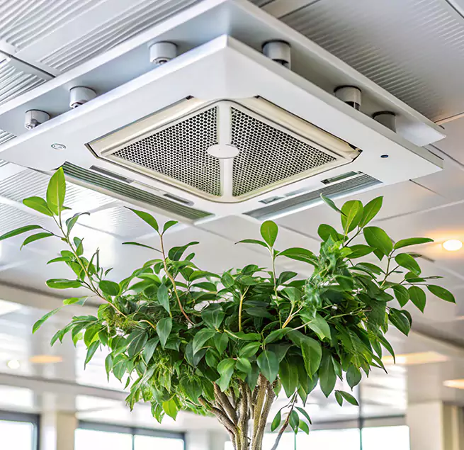 Why Homeowners & Businesses Trust Us in New Port Richey, FL?