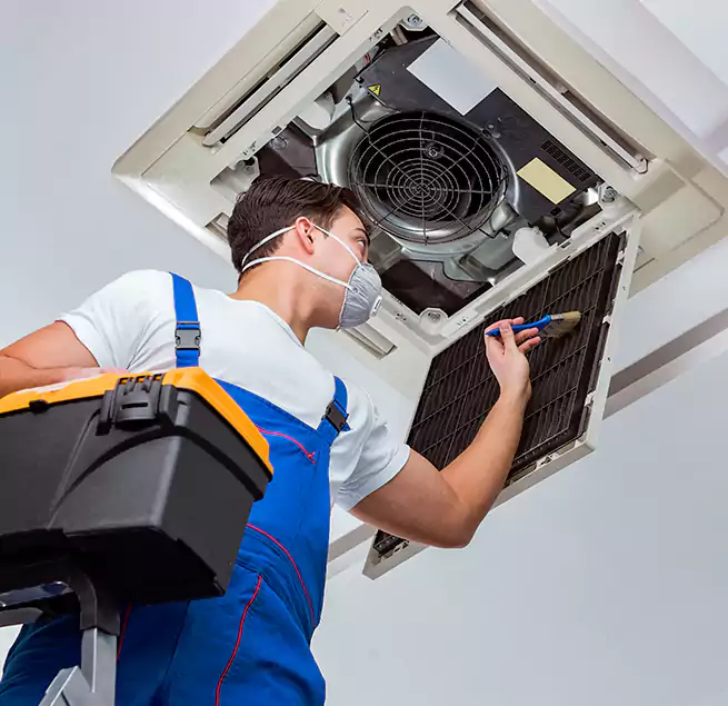 Why Homeowners & Businesses Trust Us in New Port Richey, FL?