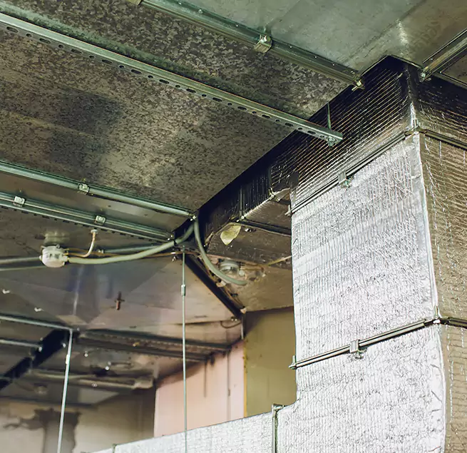 Why Homeowners & Businesses Trust Us in New Port Richey, FL?